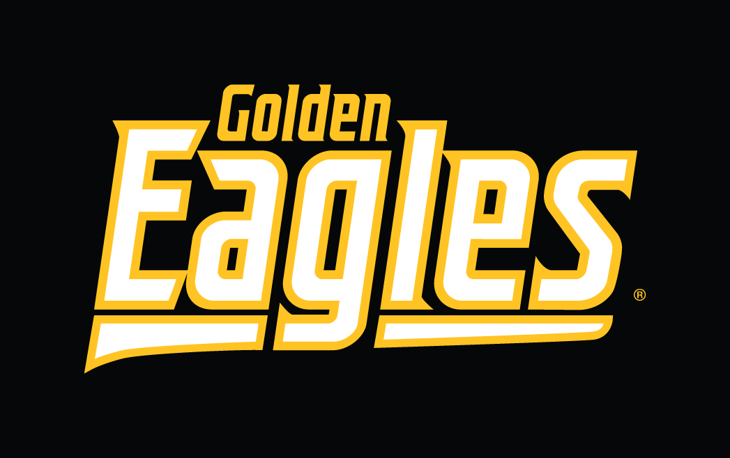 Southern Miss Golden Eagles 2003-Pres Wordmark Logo 01 vinyl decal